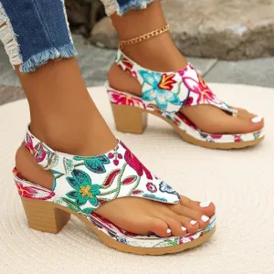 Amozae-Women's Shoes 2024 High Quality Pinch Toe Women's Sandals Summer Roman Buckle Mixed Colors Casual Chunky Heels Plus Size Sandals