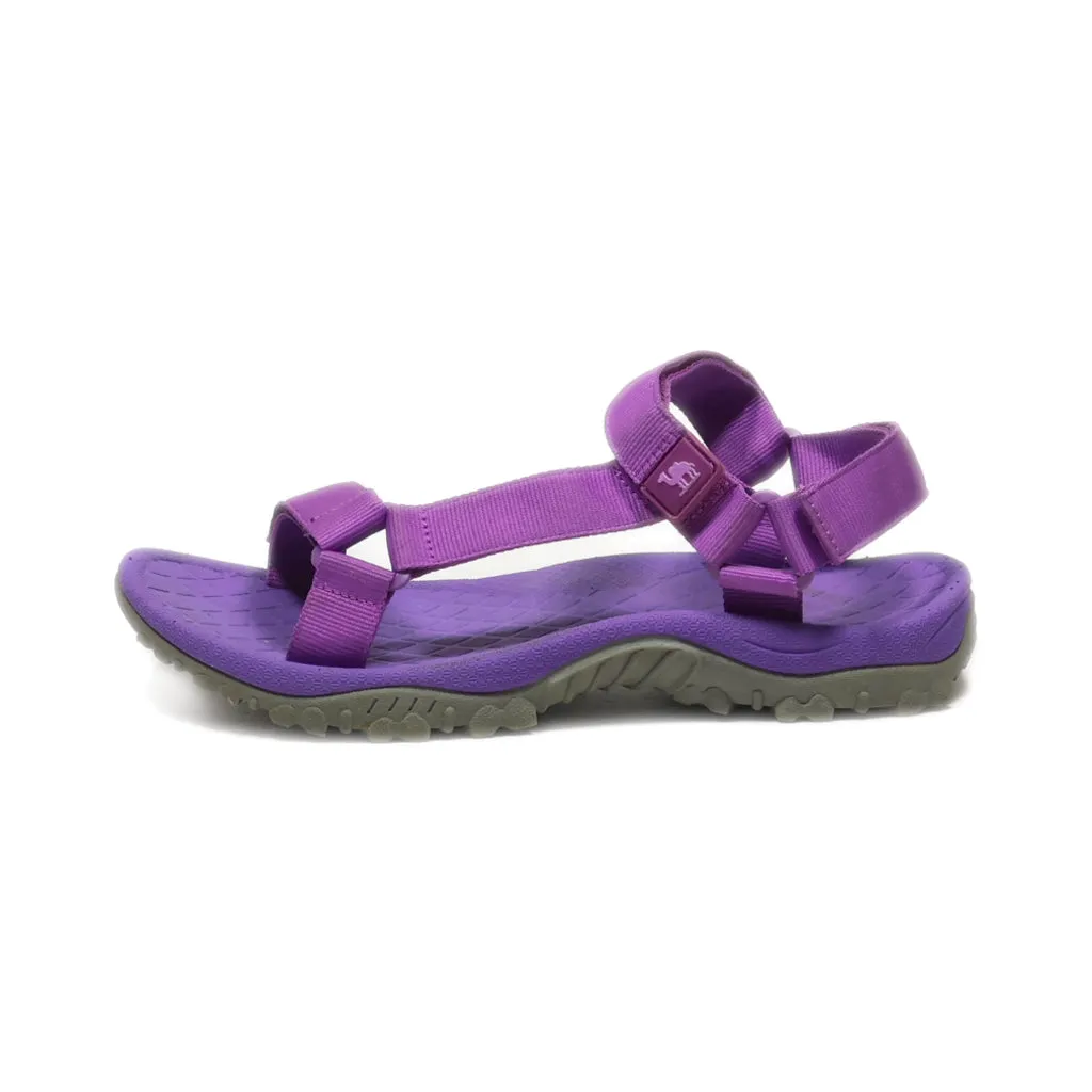 Camel Crown Flat Sandals Leather Purple Colour For Women