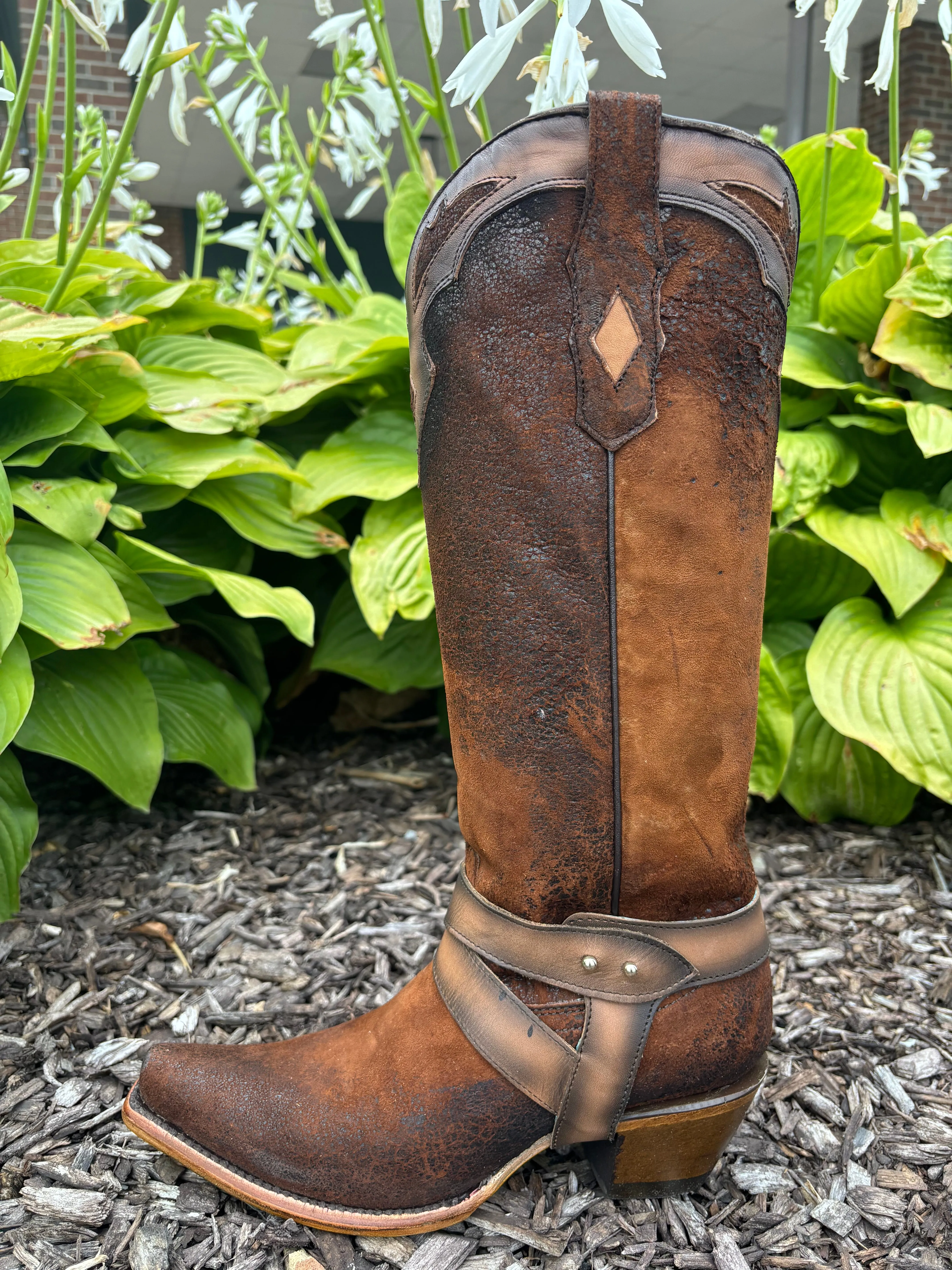 Corral Women's Dark Brown Lamb Embroidery Overlay & Harness Snip Toe Cowgirl Boots F1369