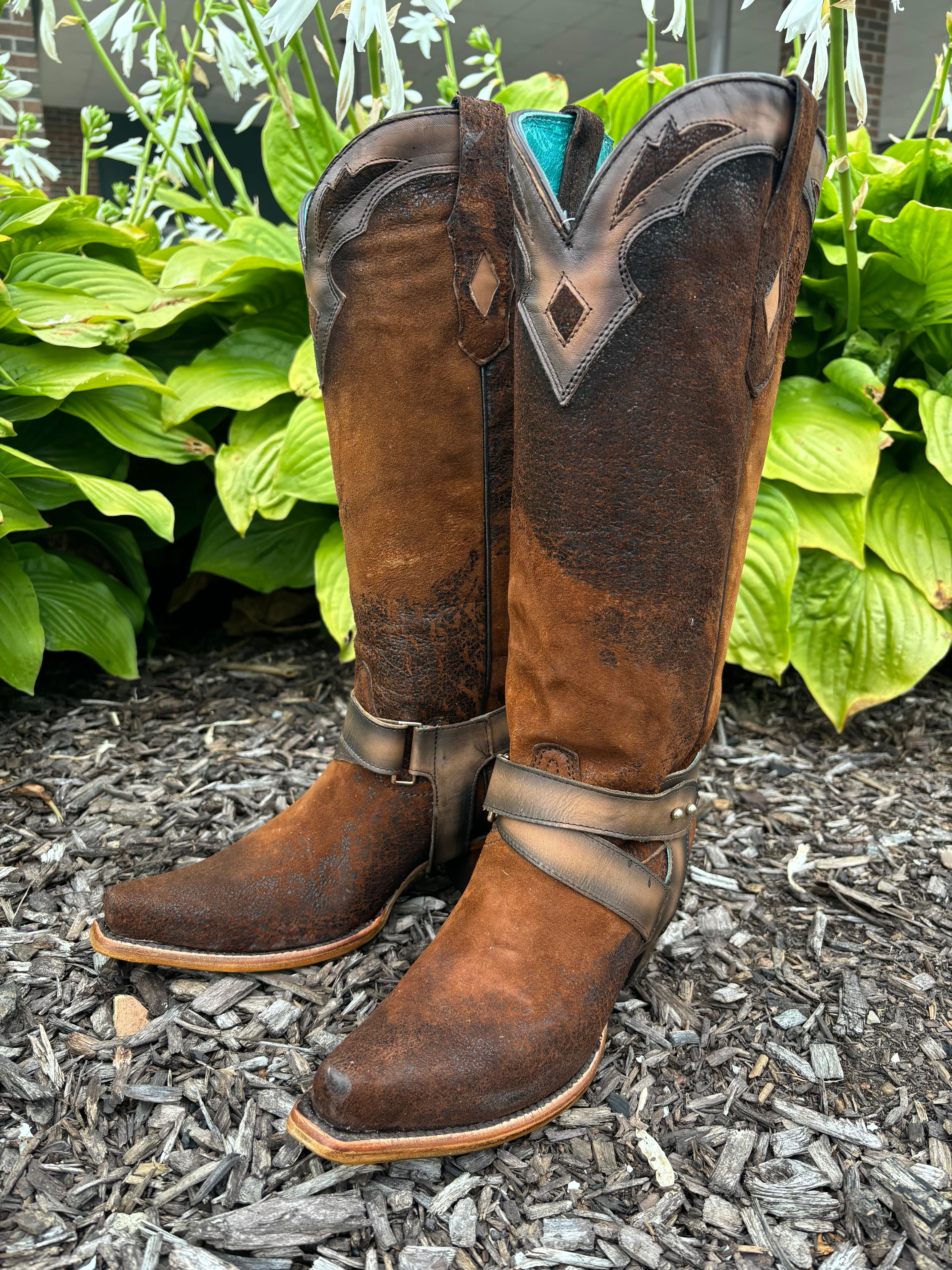 Corral Women's Dark Brown Lamb Embroidery Overlay & Harness Snip Toe Cowgirl Boots F1369