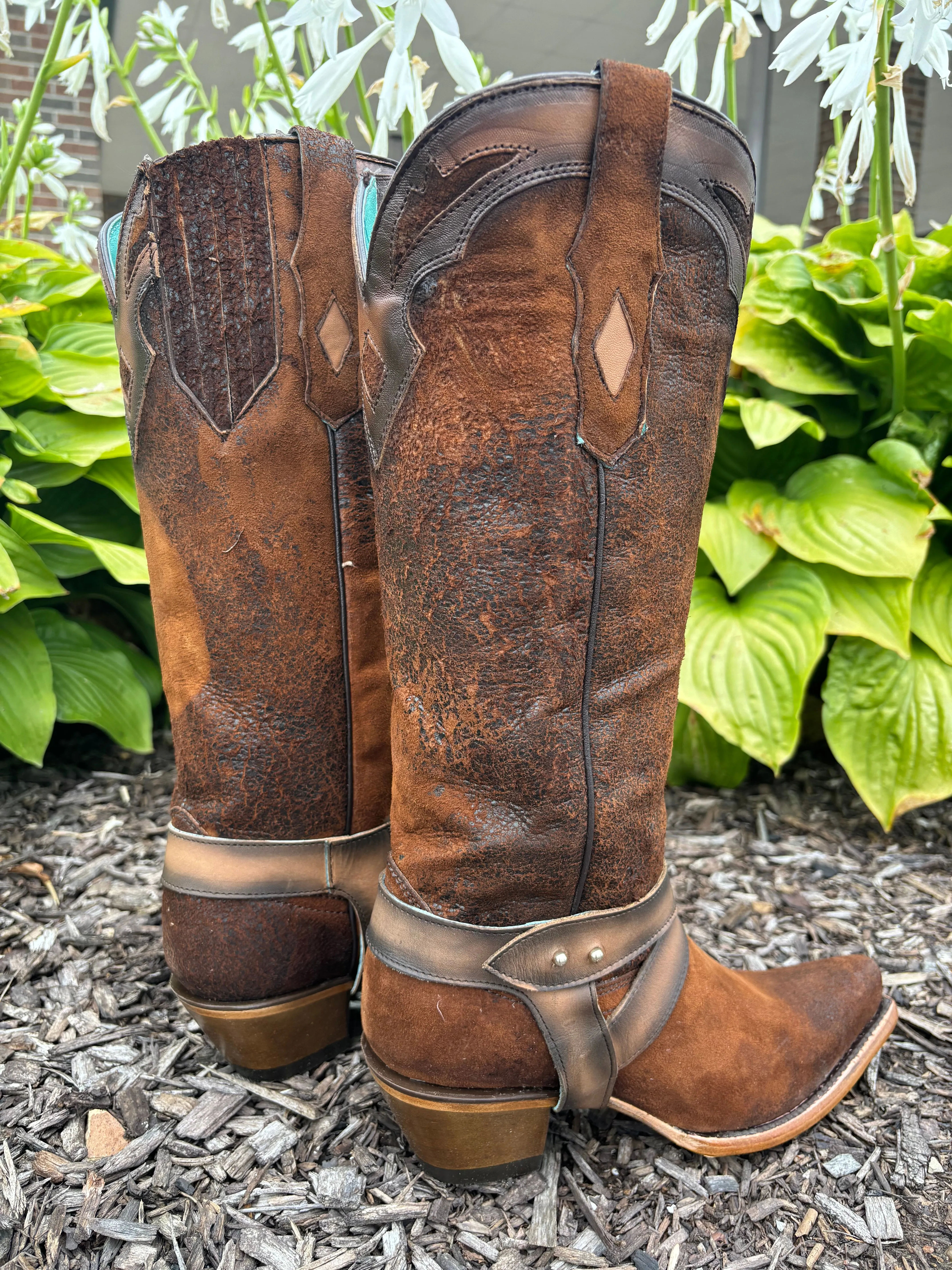 Corral Women's Dark Brown Lamb Embroidery Overlay & Harness Snip Toe Cowgirl Boots F1369