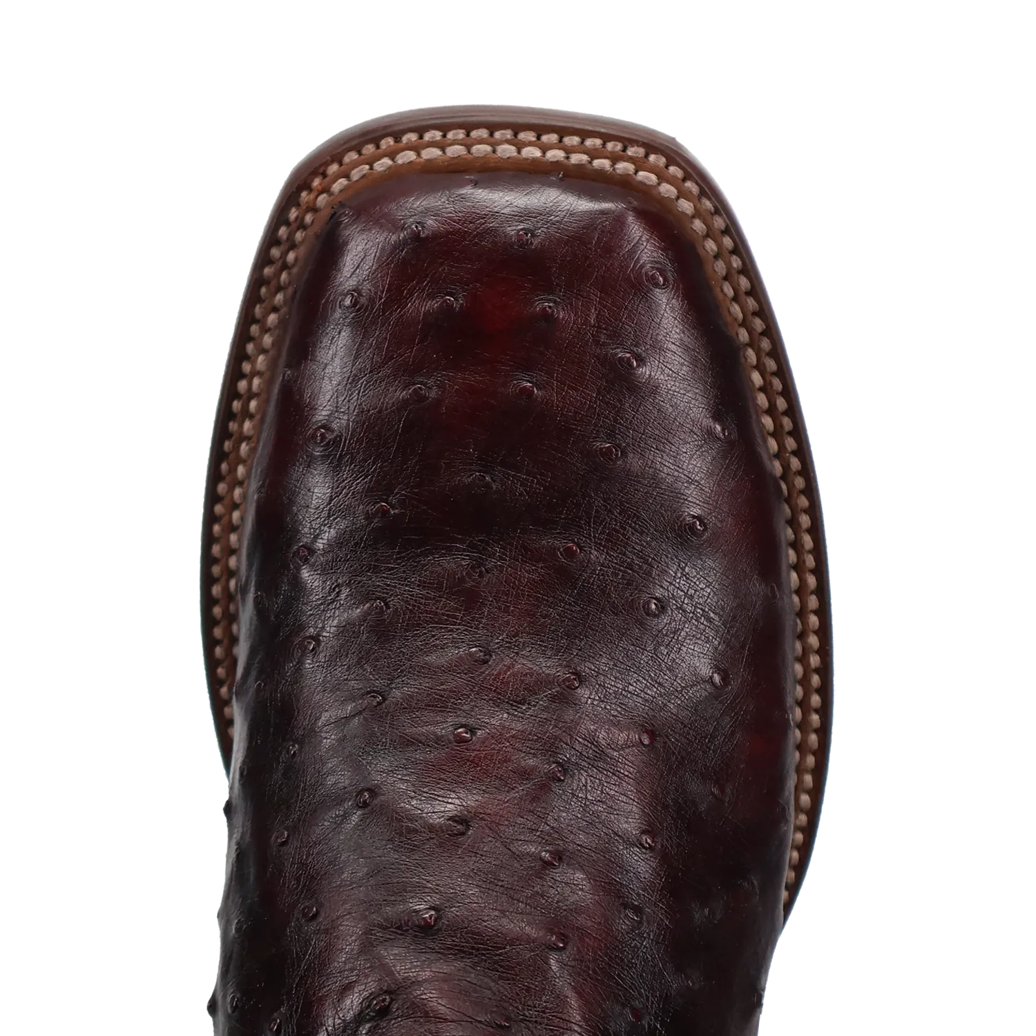 Men's Dan Post Alamosa Black Cherry Full Quill Ostrich with 11" Tops - DP5012