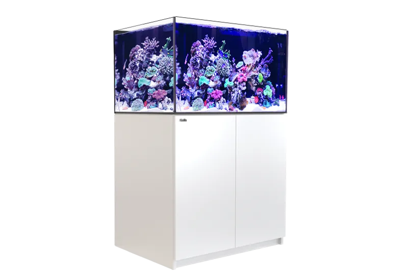 Red Sea Reefer XL 300 G2  System (65 Gal)