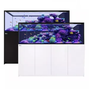 REEFER Peninsula S-950 G2  - Red Sea