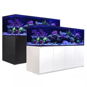 REEFER S-1000 G2  - Red Sea