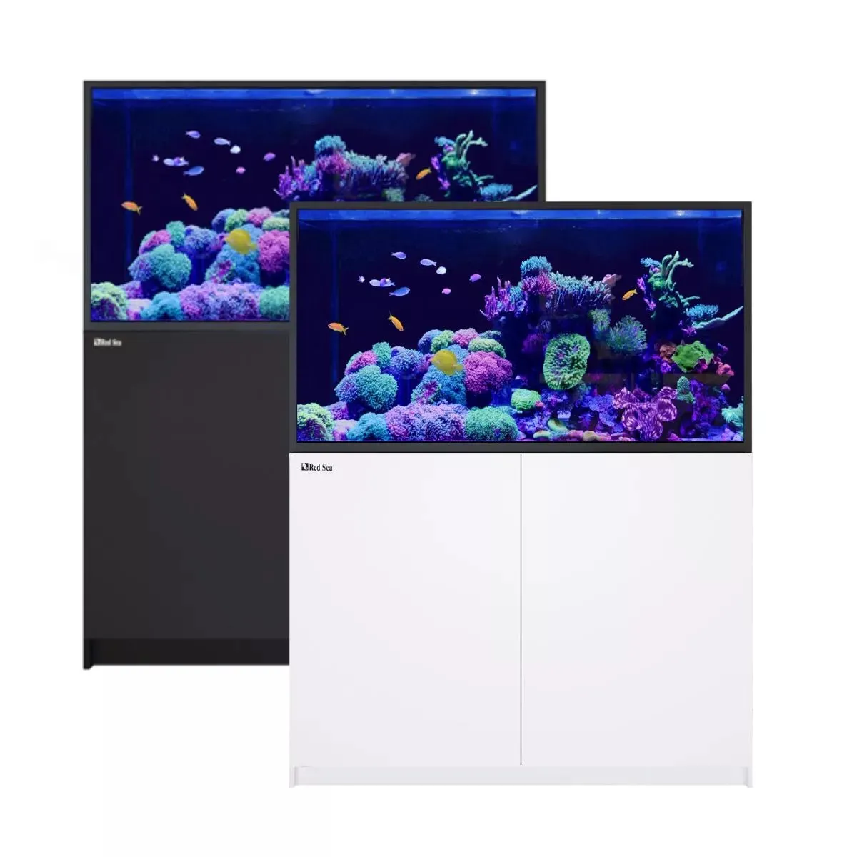 REEFER S-550 G2  - Red Sea