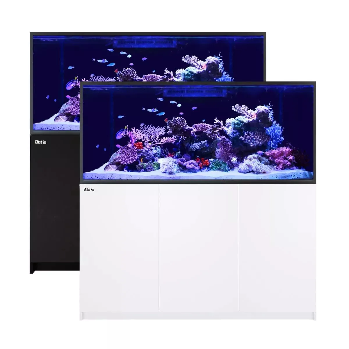 REEFER S-700 G2  - Red Sea